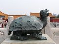 Beijing (017)
